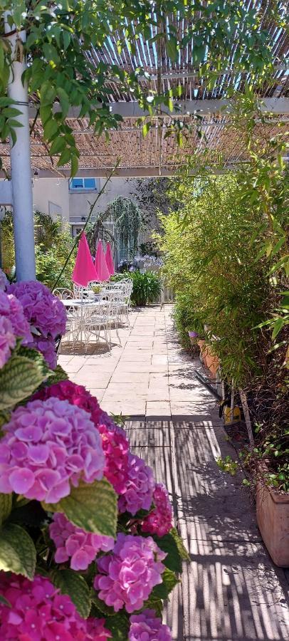 La Belle Vie B&B Montréal Dış mekan fotoğraf
